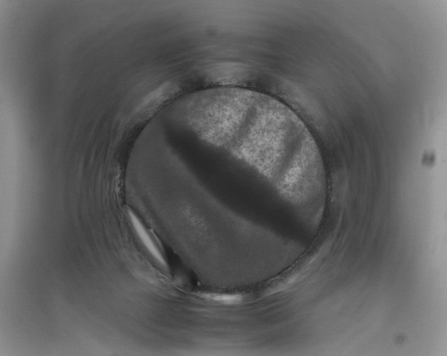 X0000097660073200803142142