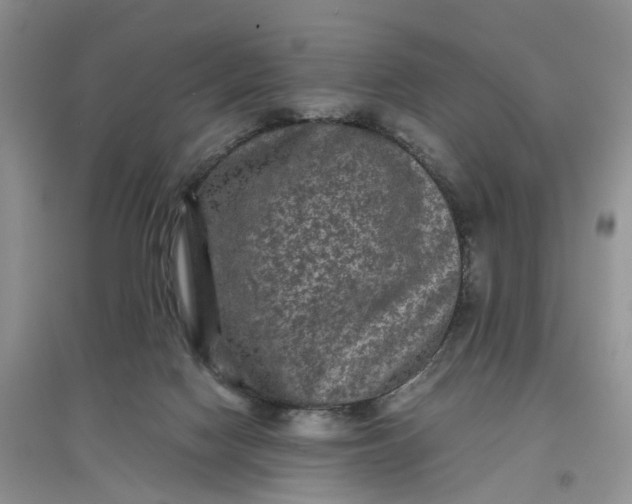 X0000097660074200803142142