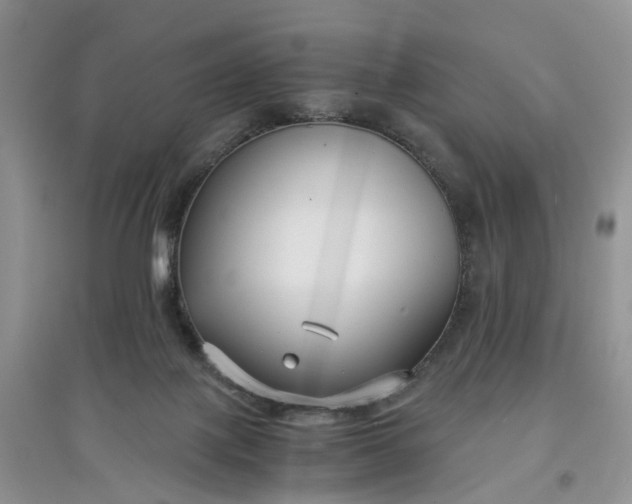 X0000097660075200803142142