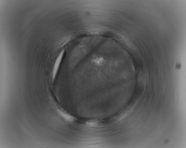 X0000097660076200803142142