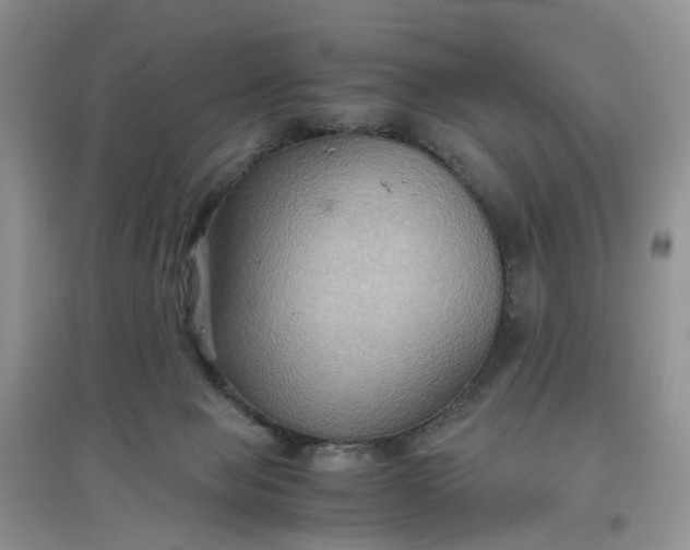 X0000097660077200803142142