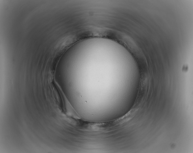 X0000097660078200803142142