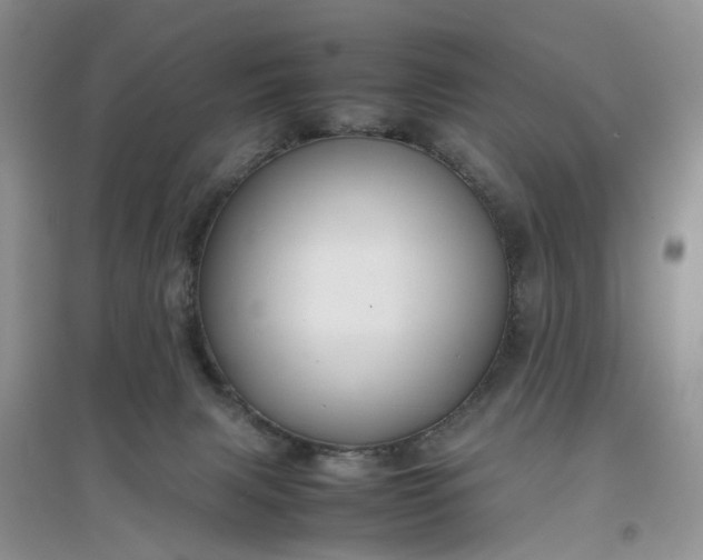 X0000097660079200803142142