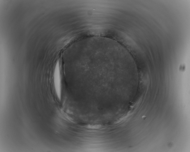 X0000097660080200803142142