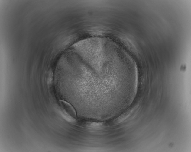 X0000097660081200803142142