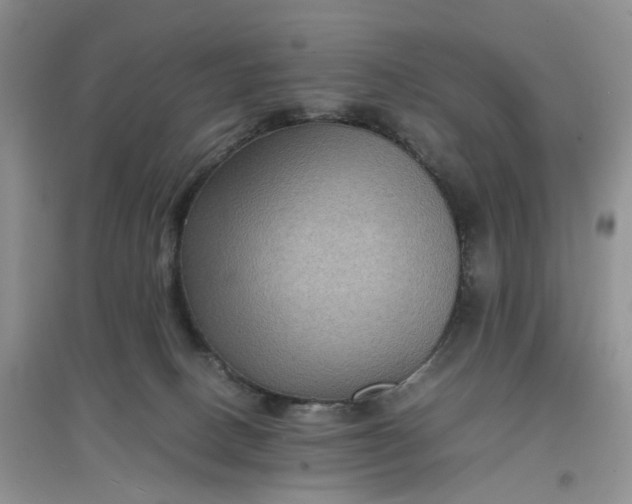 X0000097660082200803142142
