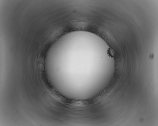 X0000097660083200803142142