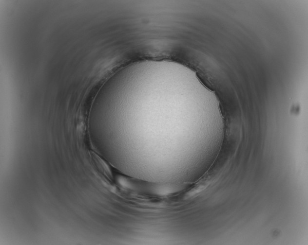 X0000097660084200803142142