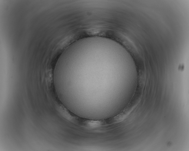 X0000097660085200803142142
