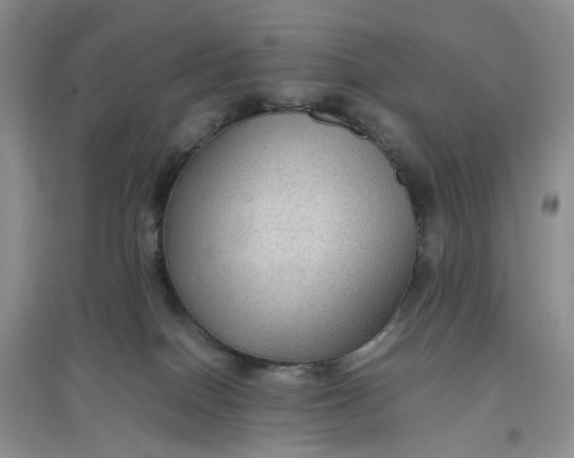 X0000097660086200803142142