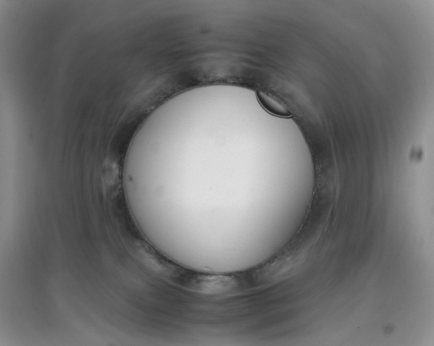 X0000097660087200803142142