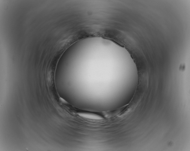 X0000097660088200803142142