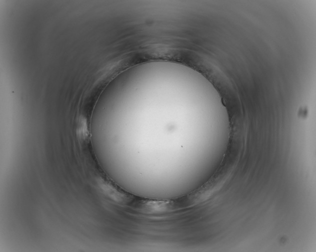 X0000097660089200803142142