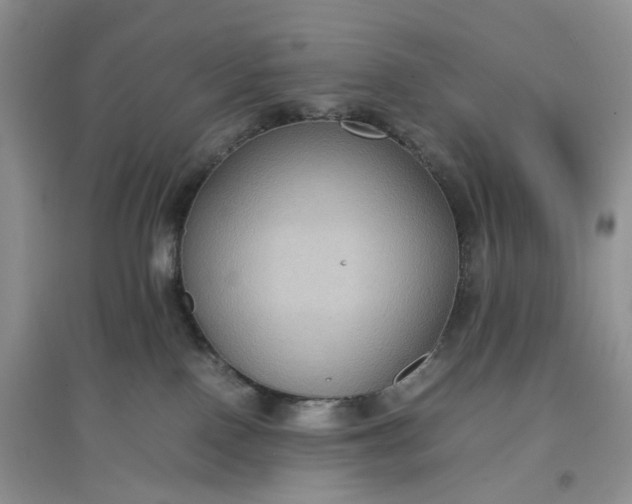 X0000097660090200803142142