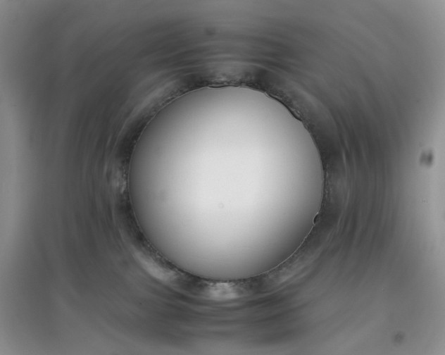 X0000097660091200803142142