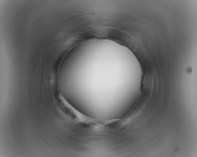 X0000097660092200803142142