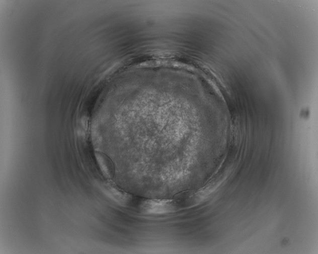 X0000097660093200803142142