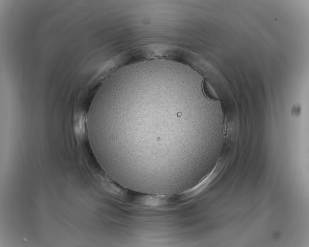 X0000097660094200803142142