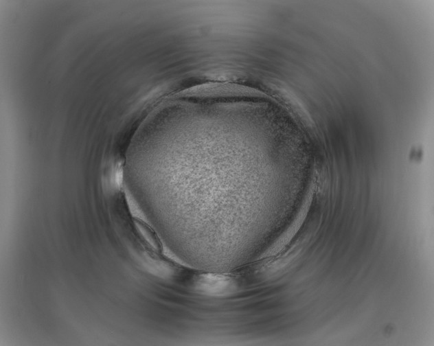 X0000097660095200803142142