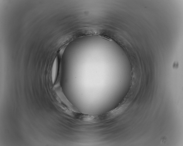 X0000097660096200803142142