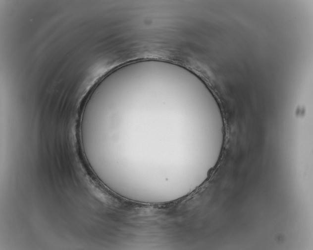 X0000097660098200803142141