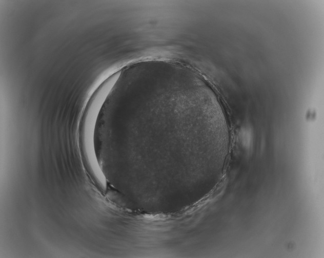X0000097660100200803142141