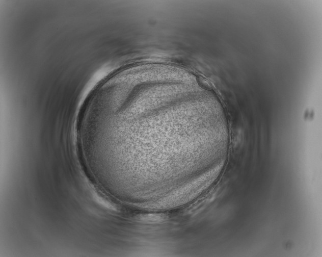 X0000097660102200803142141