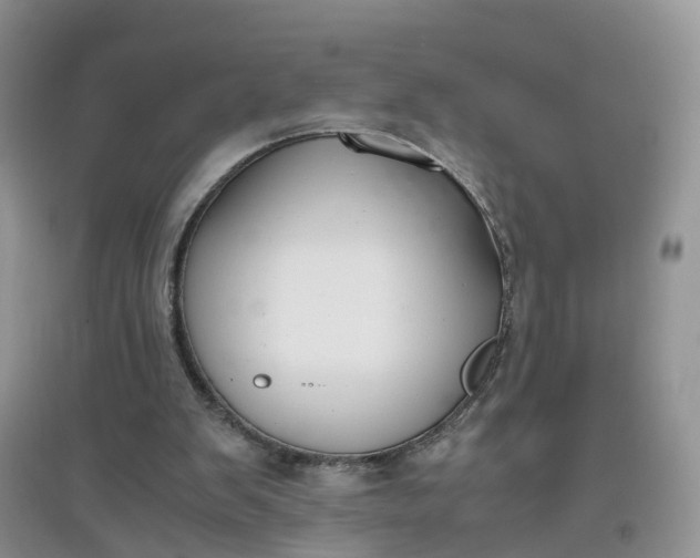 X0000097660103200803142141