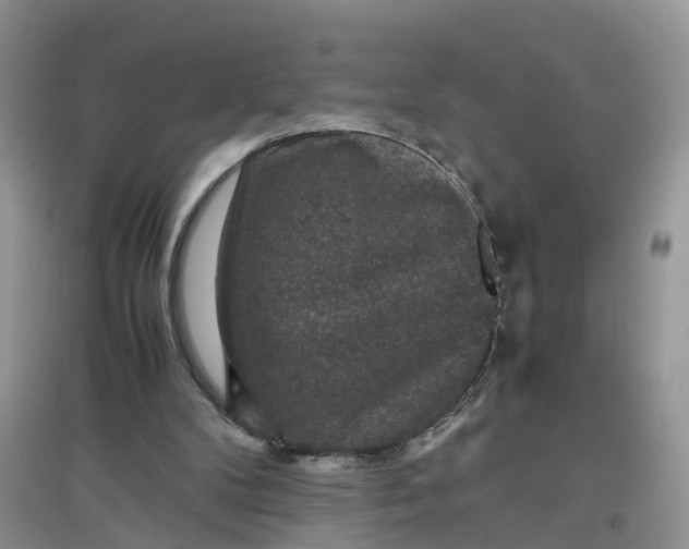 X0000097660104200803142141