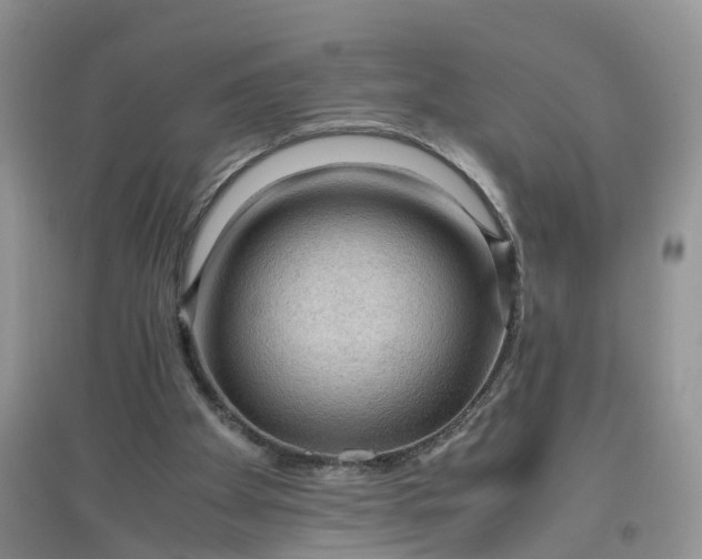 X0000097660105200803142141