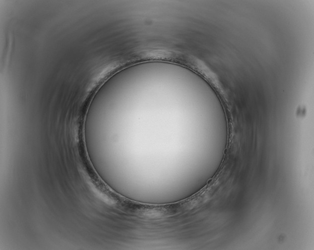 X0000097660106200803142141