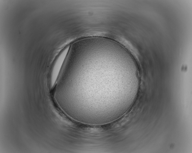 X0000097660107200803142141