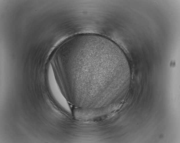 X0000097660108200803142141