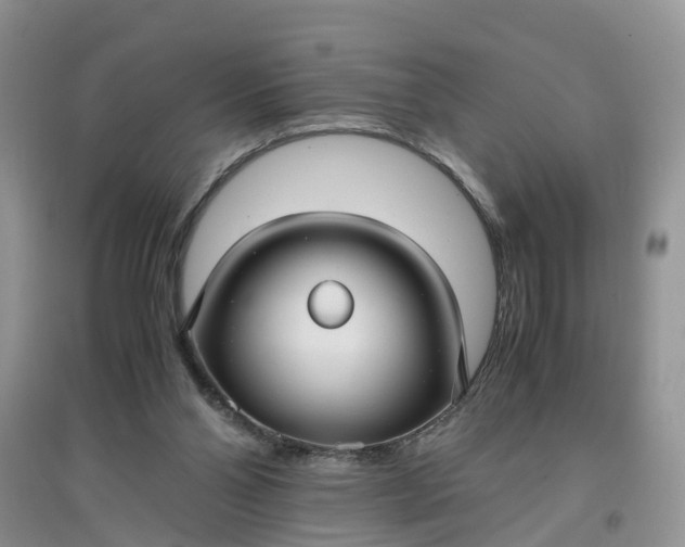 X0000097660110200803142141