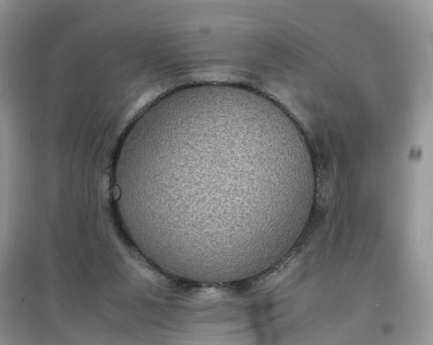 X0000097660111200803142141