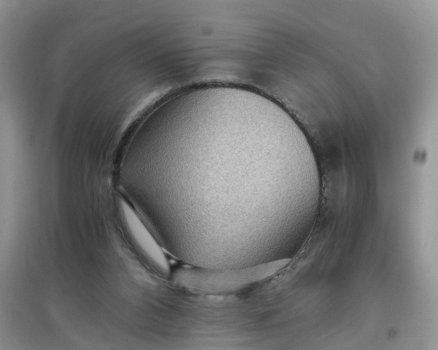 X0000097660112200803142141