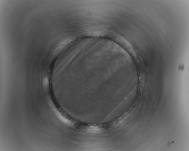 X0000097660114200803142141