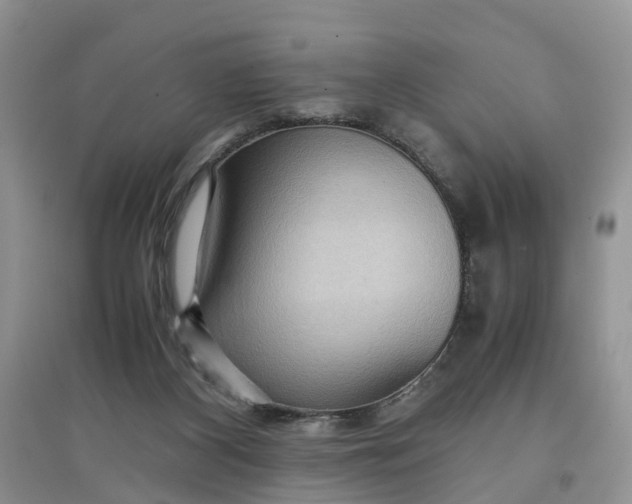 X0000097660116200803142141