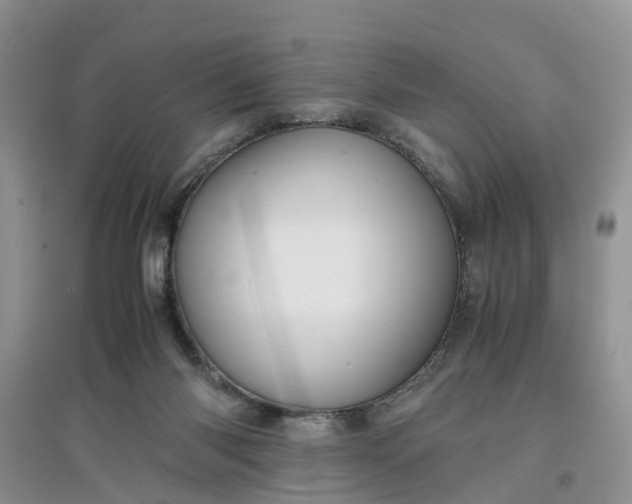 X0000097660118200803142141