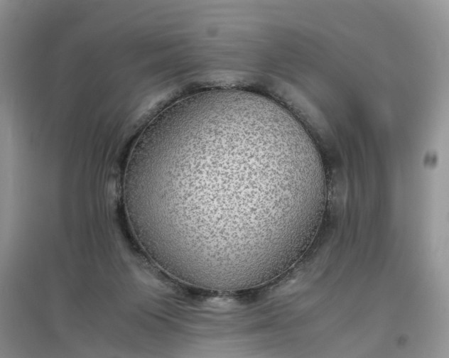 X0000097660119200803142141