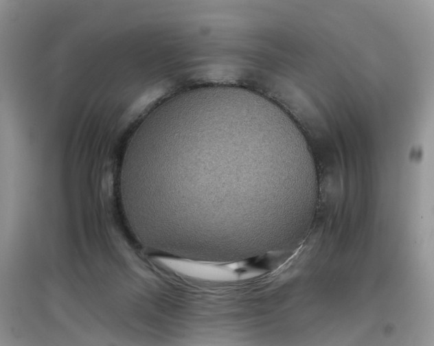 X0000097660120200803142141