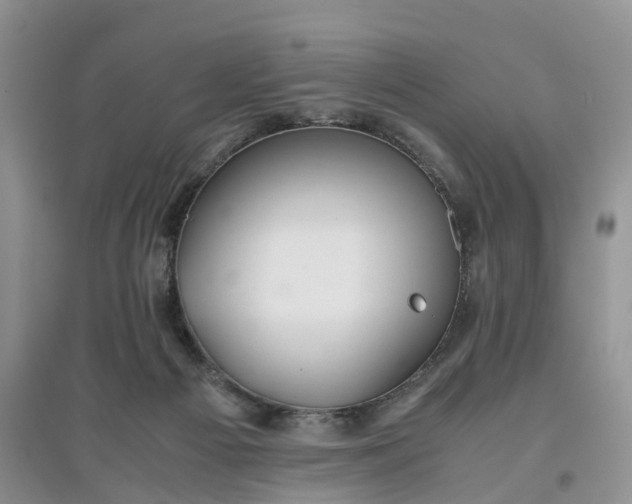 X0000097660121200803142141