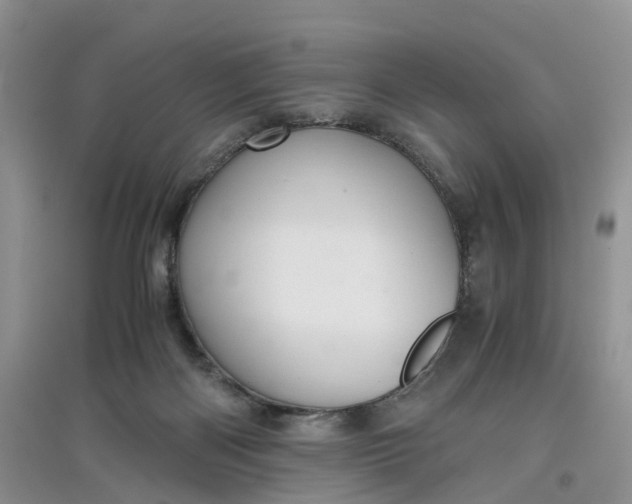 X0000097660122200803142141