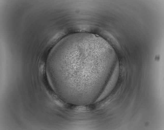 X0000097660123200803142141