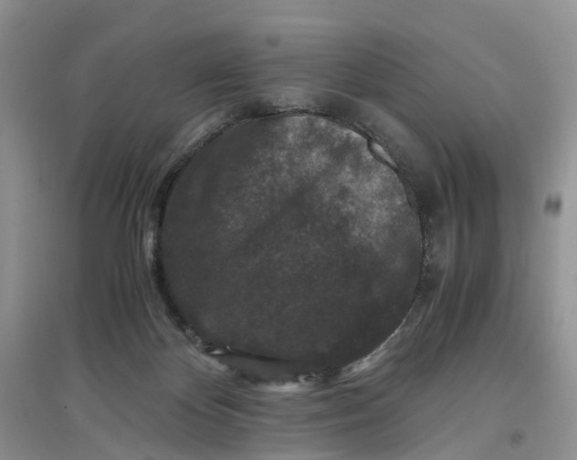 X0000097660124200803142141