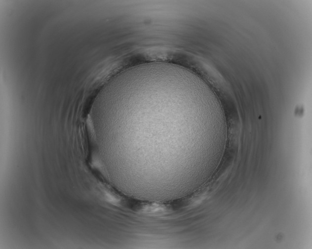 X0000097660125200803142141