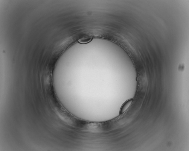 X0000097660126200803142141