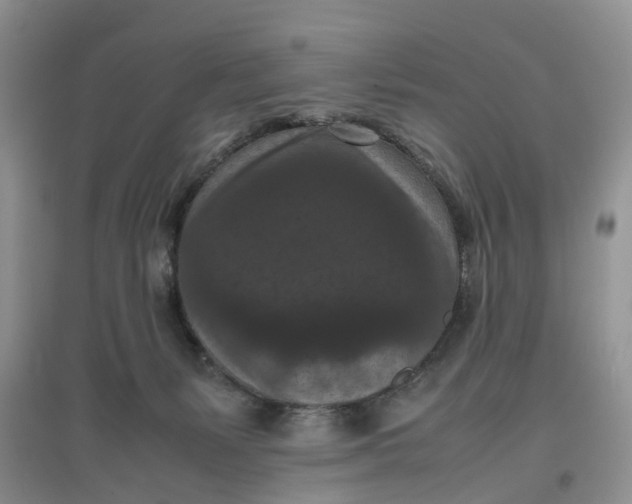 X0000097660127200803142141