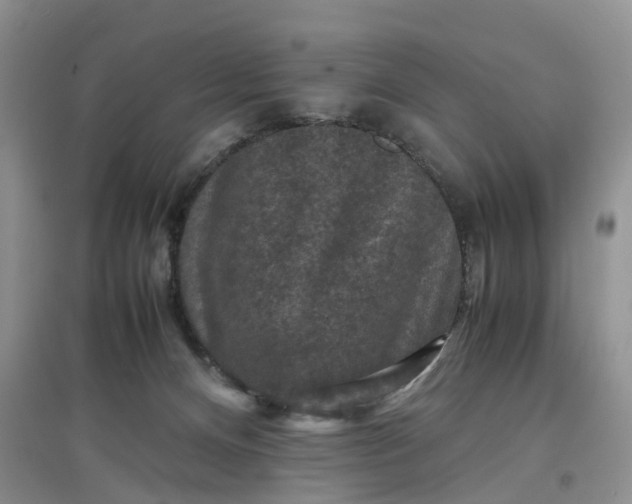 X0000097660128200803142141