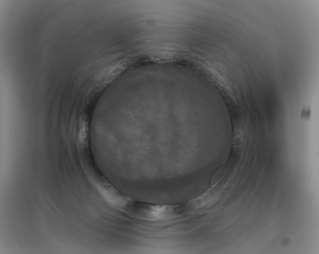X0000097660130200803142141